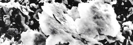 výroba kovových práškov mletých vločkových práškov striekaných do Poľska