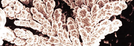 výroba kovových práškov mletých vločkových práškov striekaných do Poľska